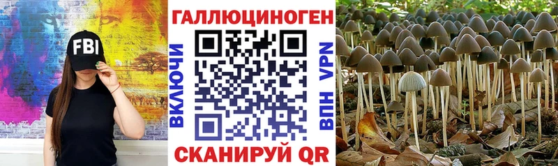 Купить где  Уфа  Галлюциногенные грибы мицелий 